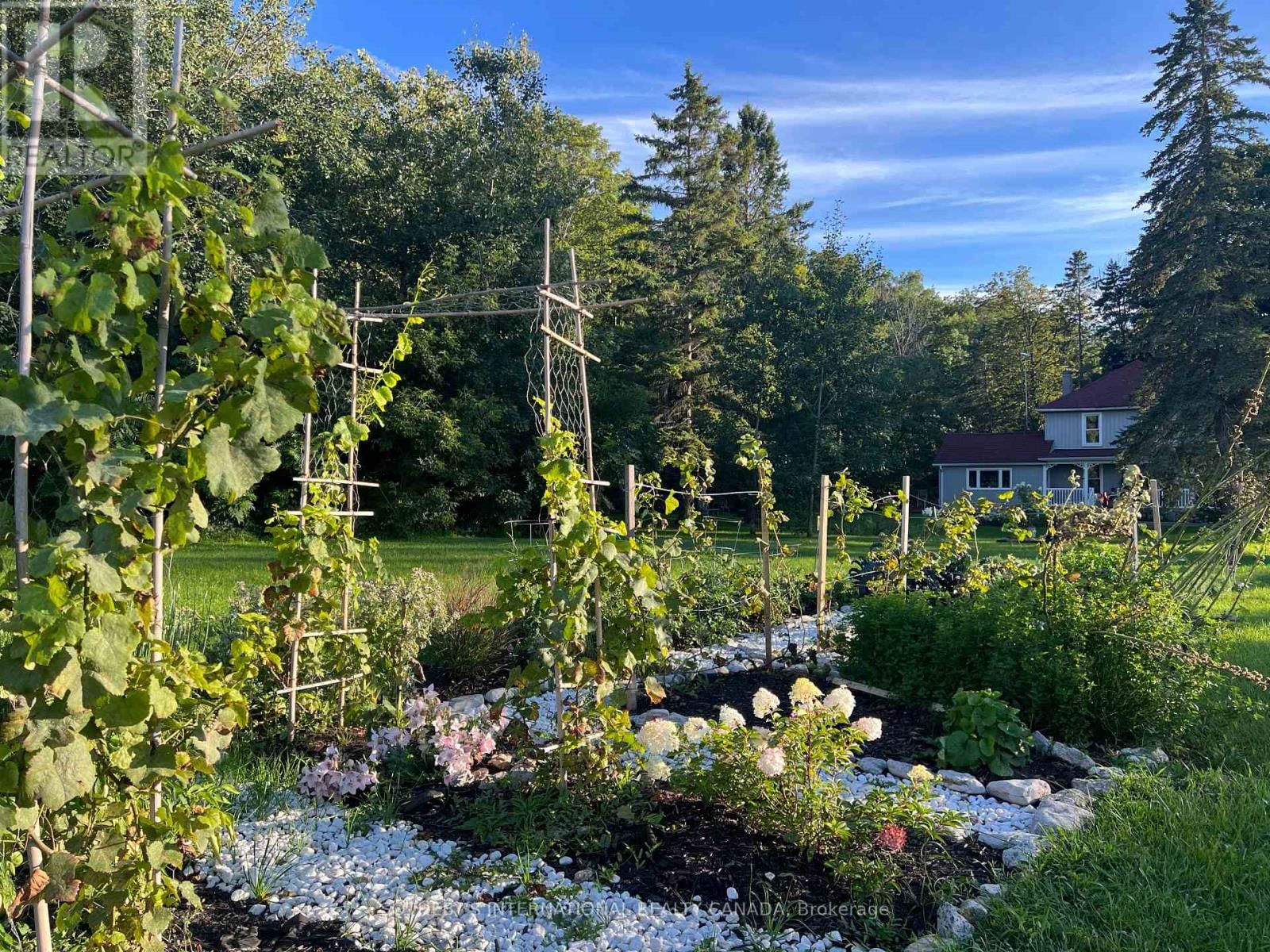 3050 COUNTY ROAD 7 Image 35