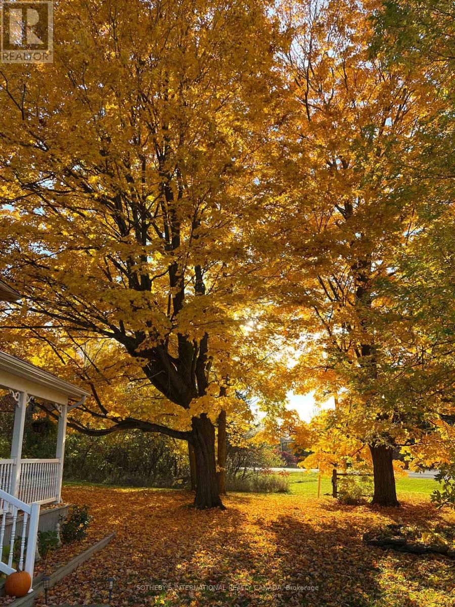 3050 COUNTY ROAD 7 Image 36