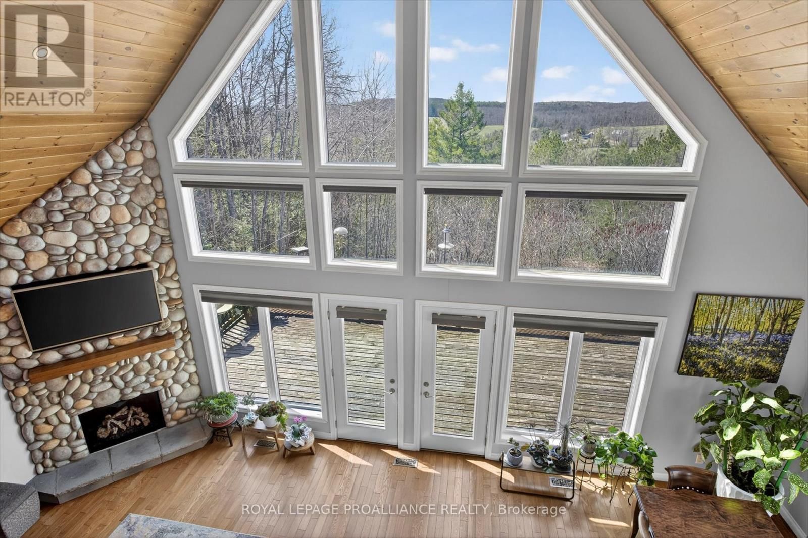 849 BLAND LINE Image 18