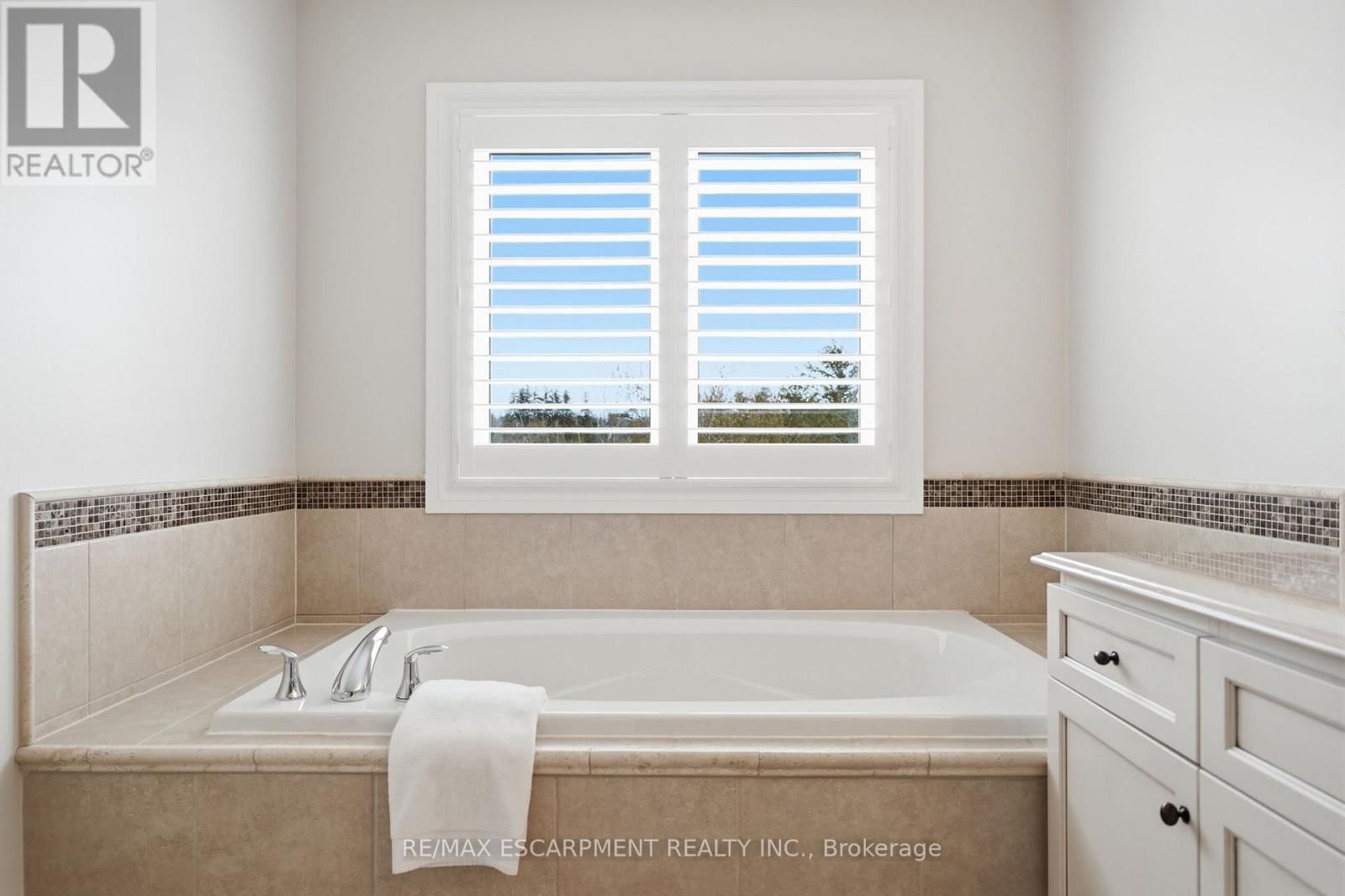 253 MILLVIEW COURT Image 29