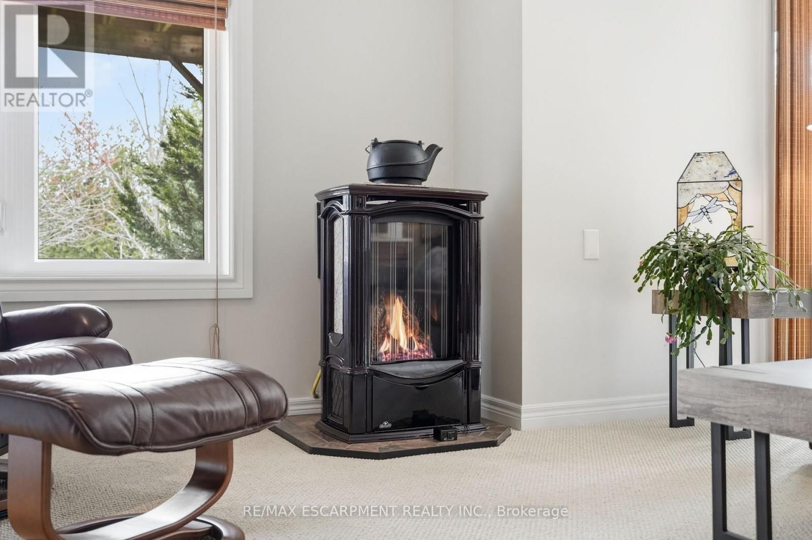 253 MILLVIEW COURT Image 39