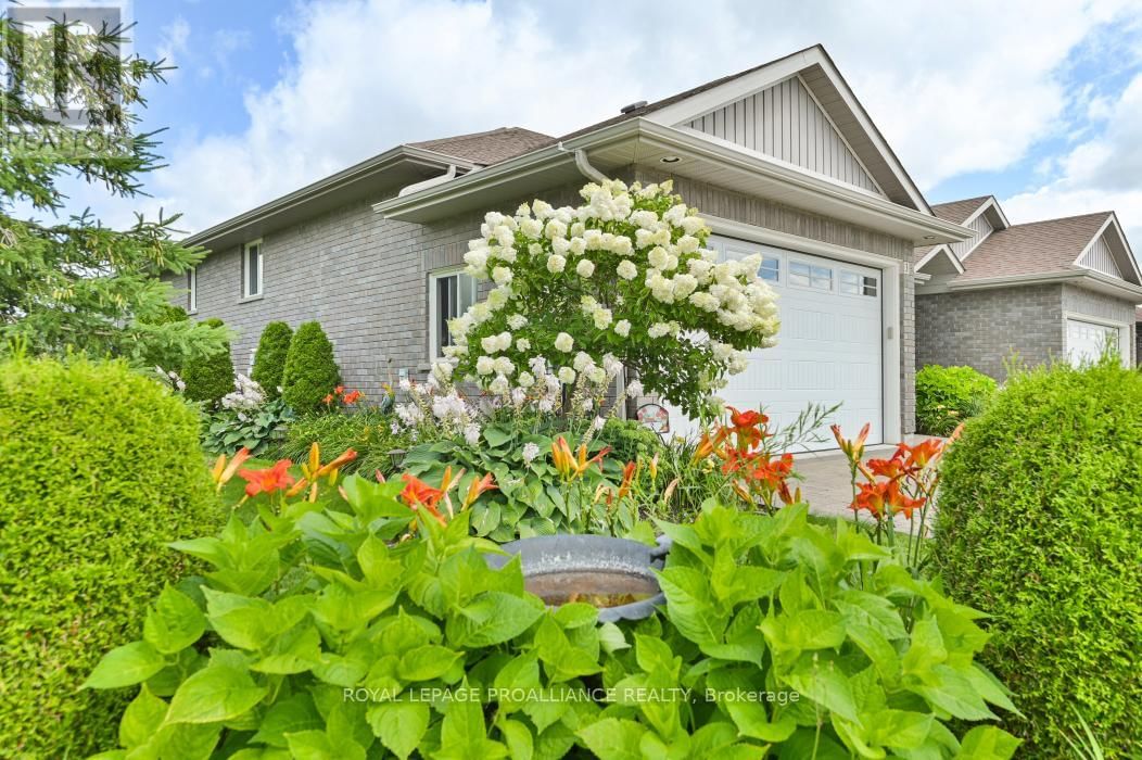 3 CORTLAND CRESCENT Image 41