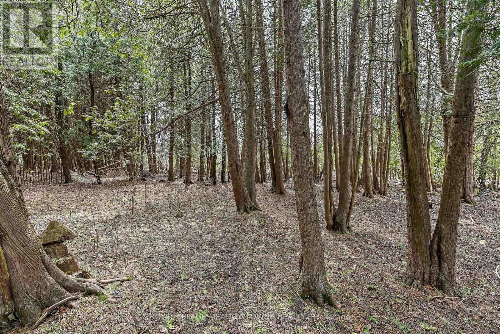 4 LAUREL LANE Image 28