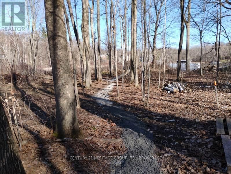 828 THOMAS ROAD Image 33