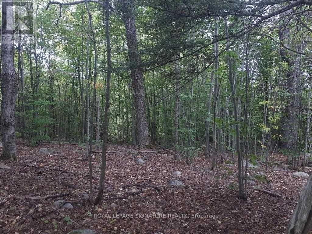 2800 ARDOCH ROAD Image 12