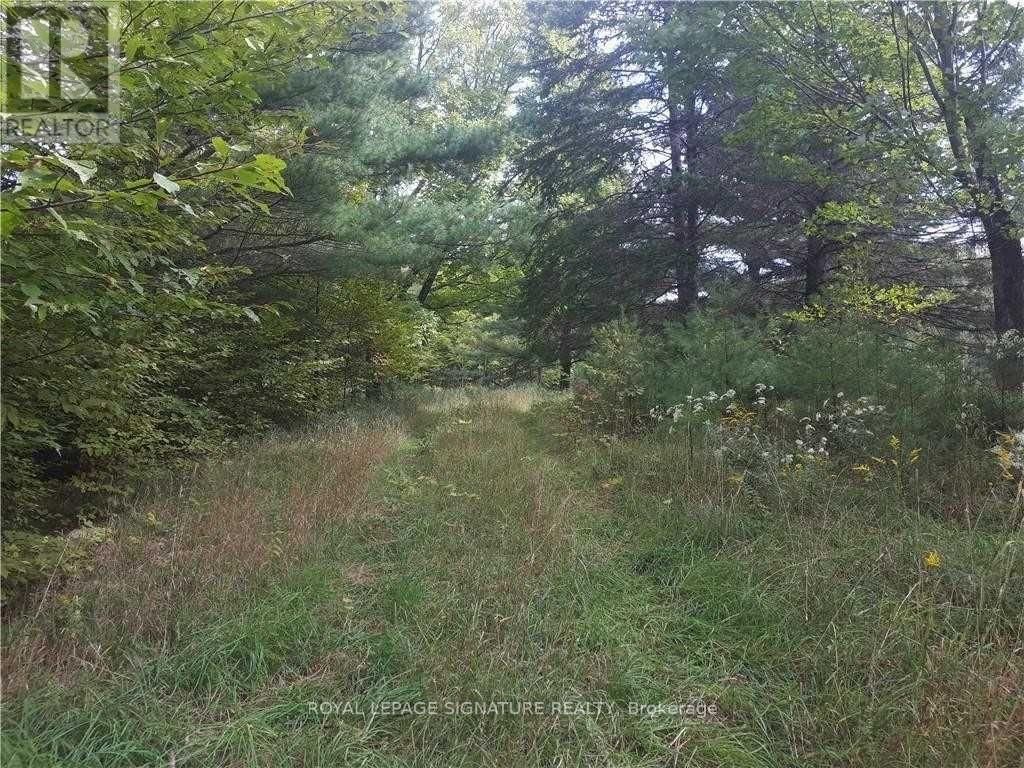 2800 ARDOCH ROAD Image 14