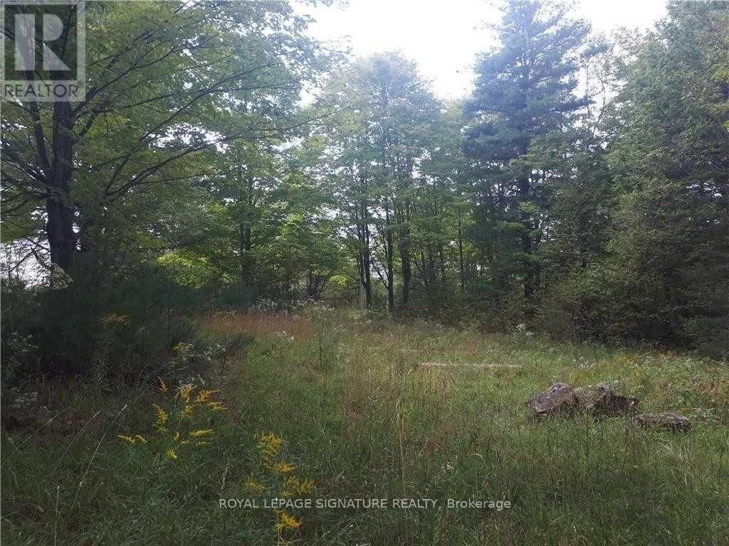 2800 ARDOCH ROAD Image 15