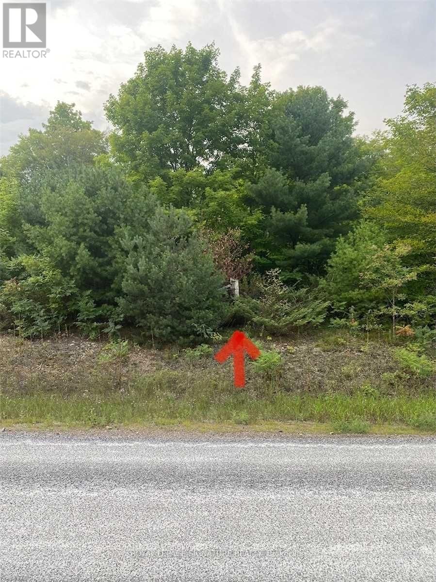 2800 ARDOCH ROAD Image 4