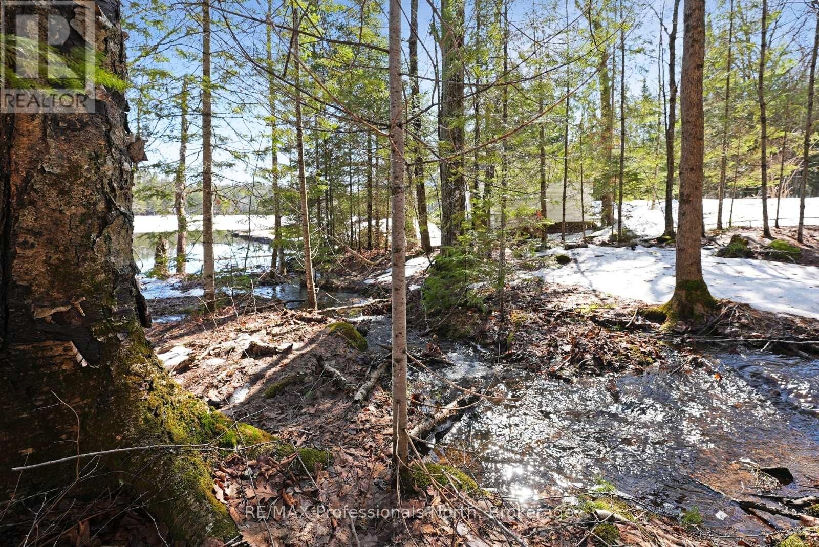 3382 KUSHOG LAKE ROAD Image 29