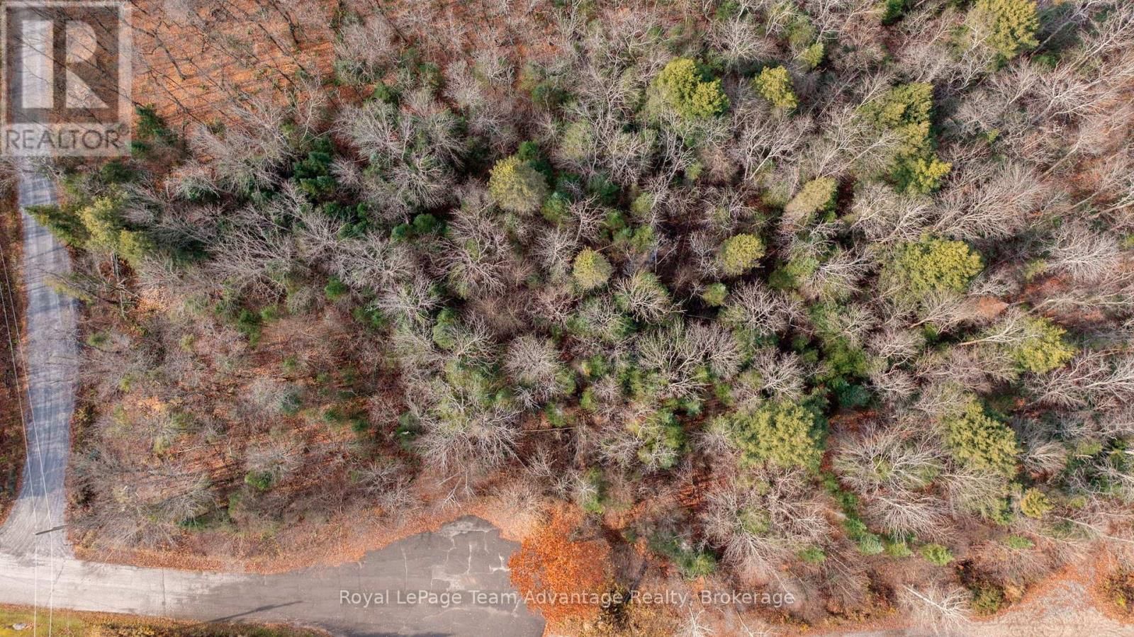 181 CLARKES LANE Image 13