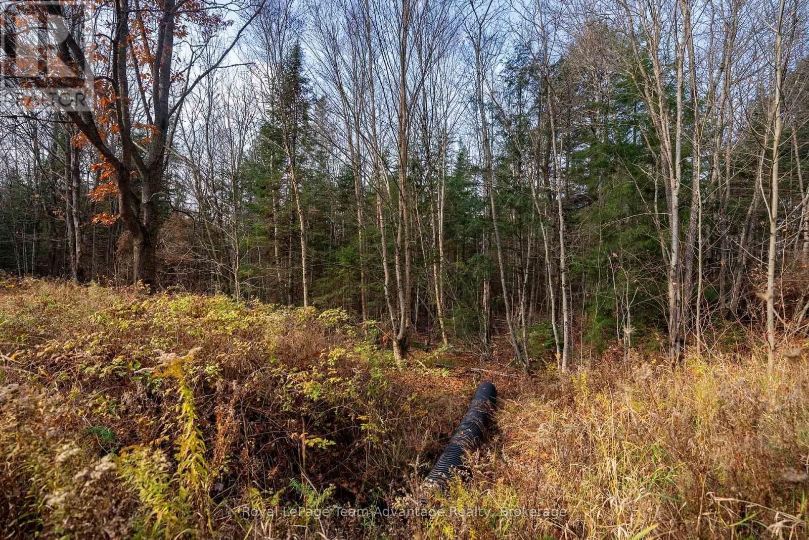 181 CLARKES LANE Image 14