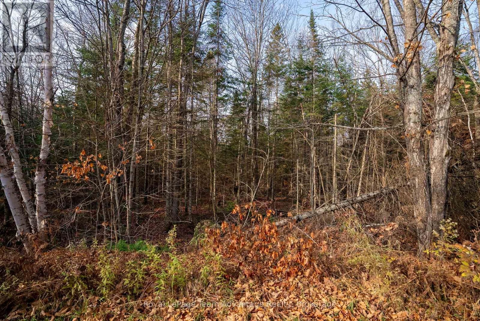 181 CLARKES LANE Image 16