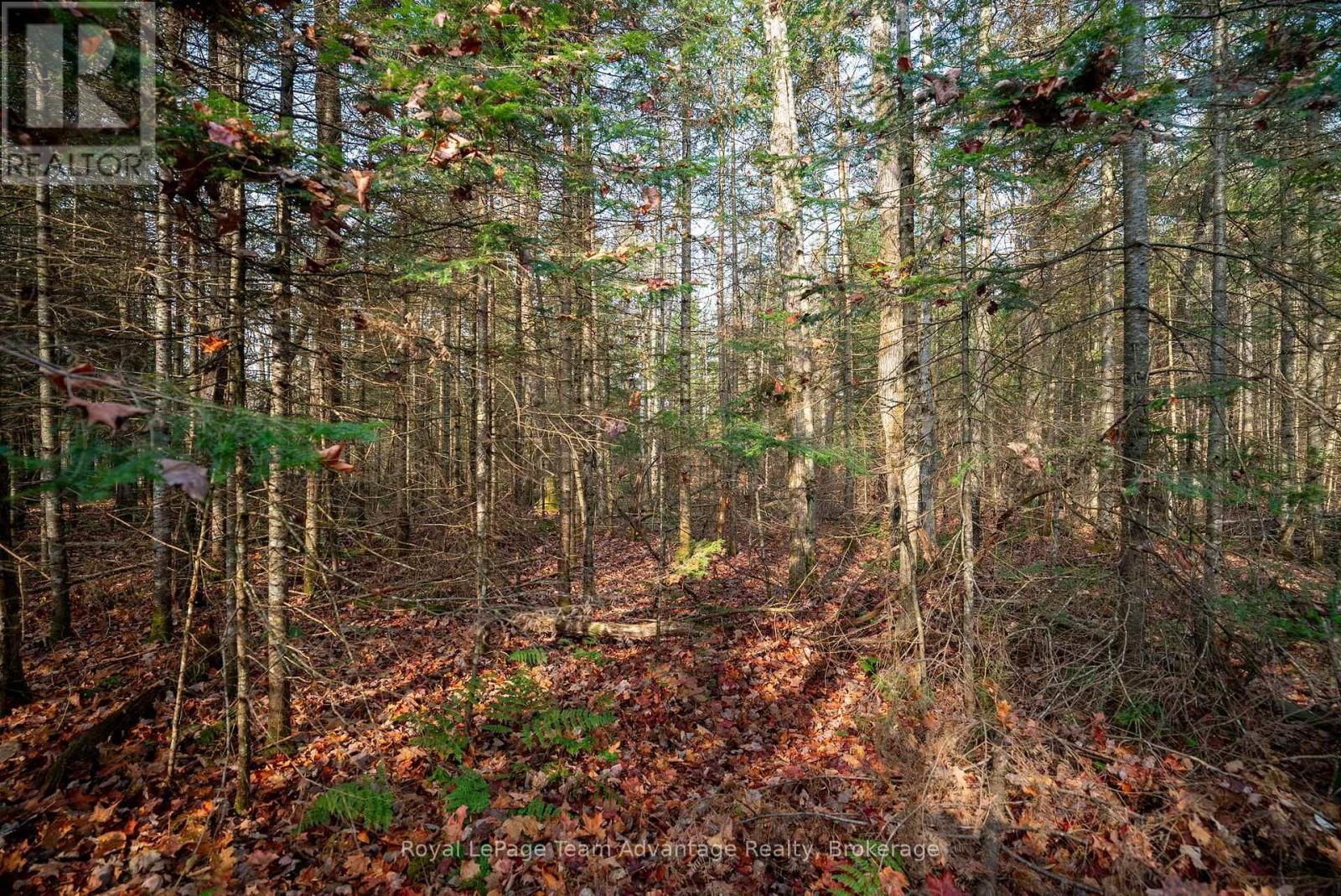 181 CLARKES LANE Image 19