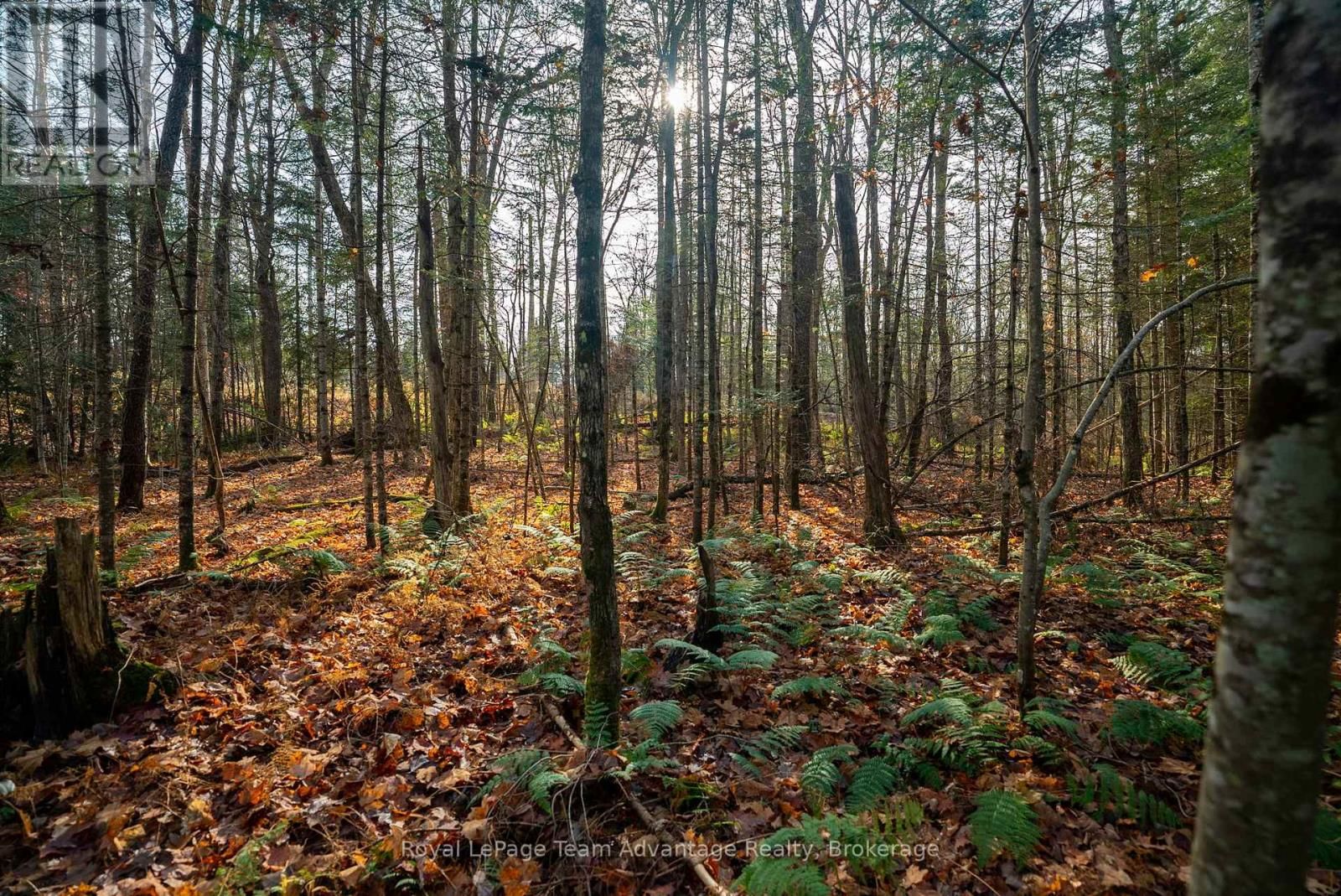 181 CLARKES LANE Image 20