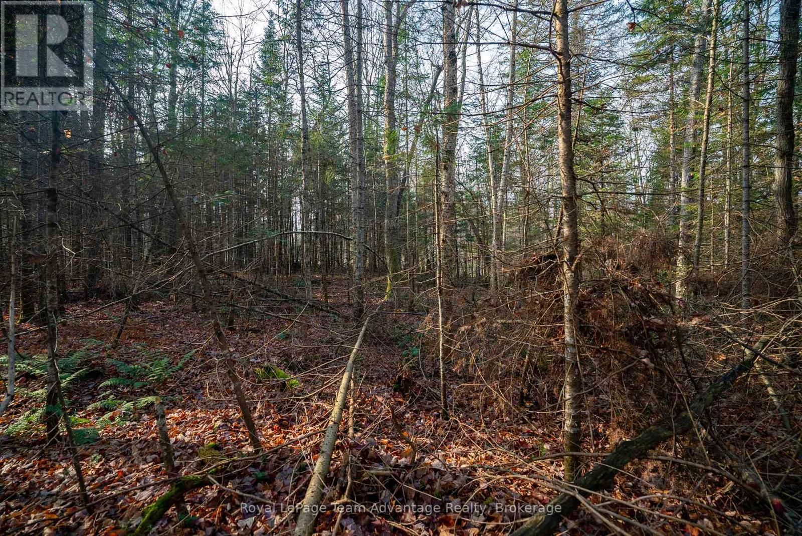 181 CLARKES LANE Image 21