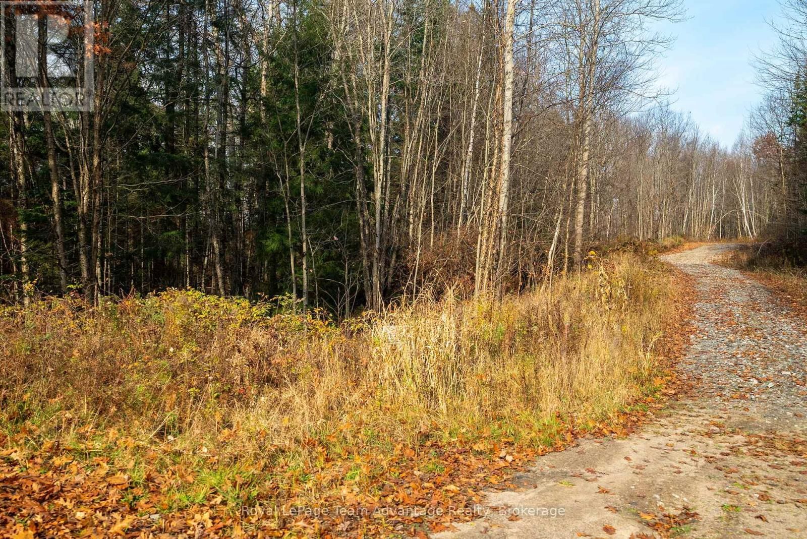 181 CLARKES LANE Image 22