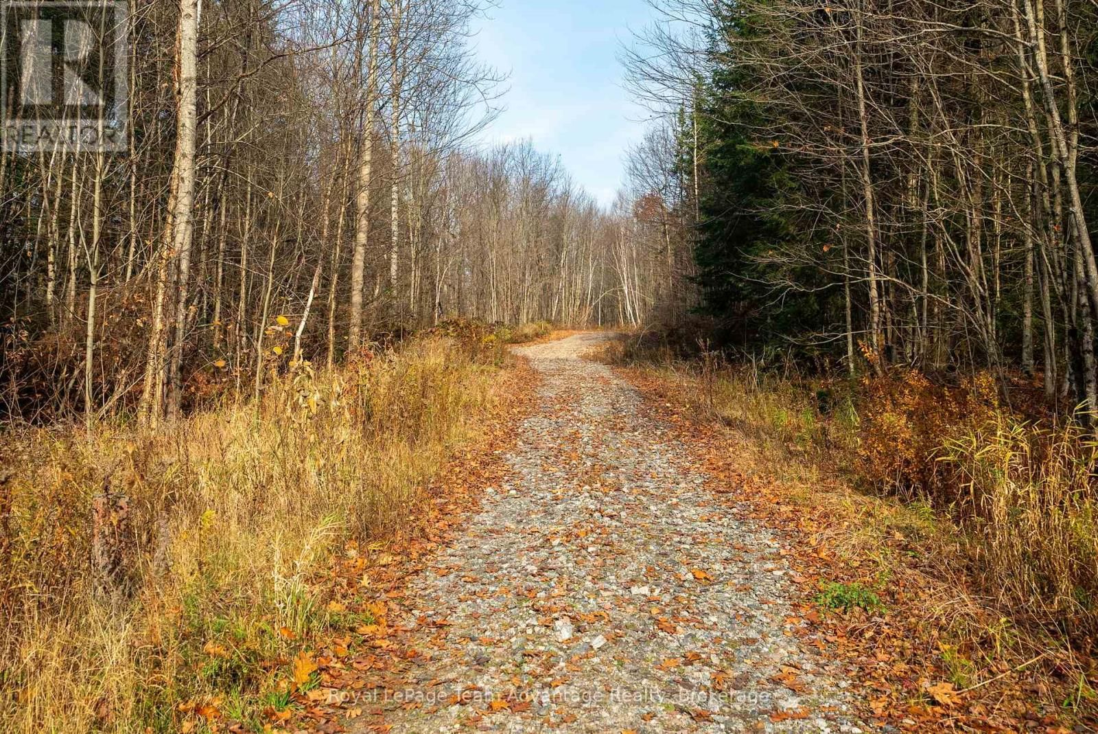 181 CLARKES LANE Image 23