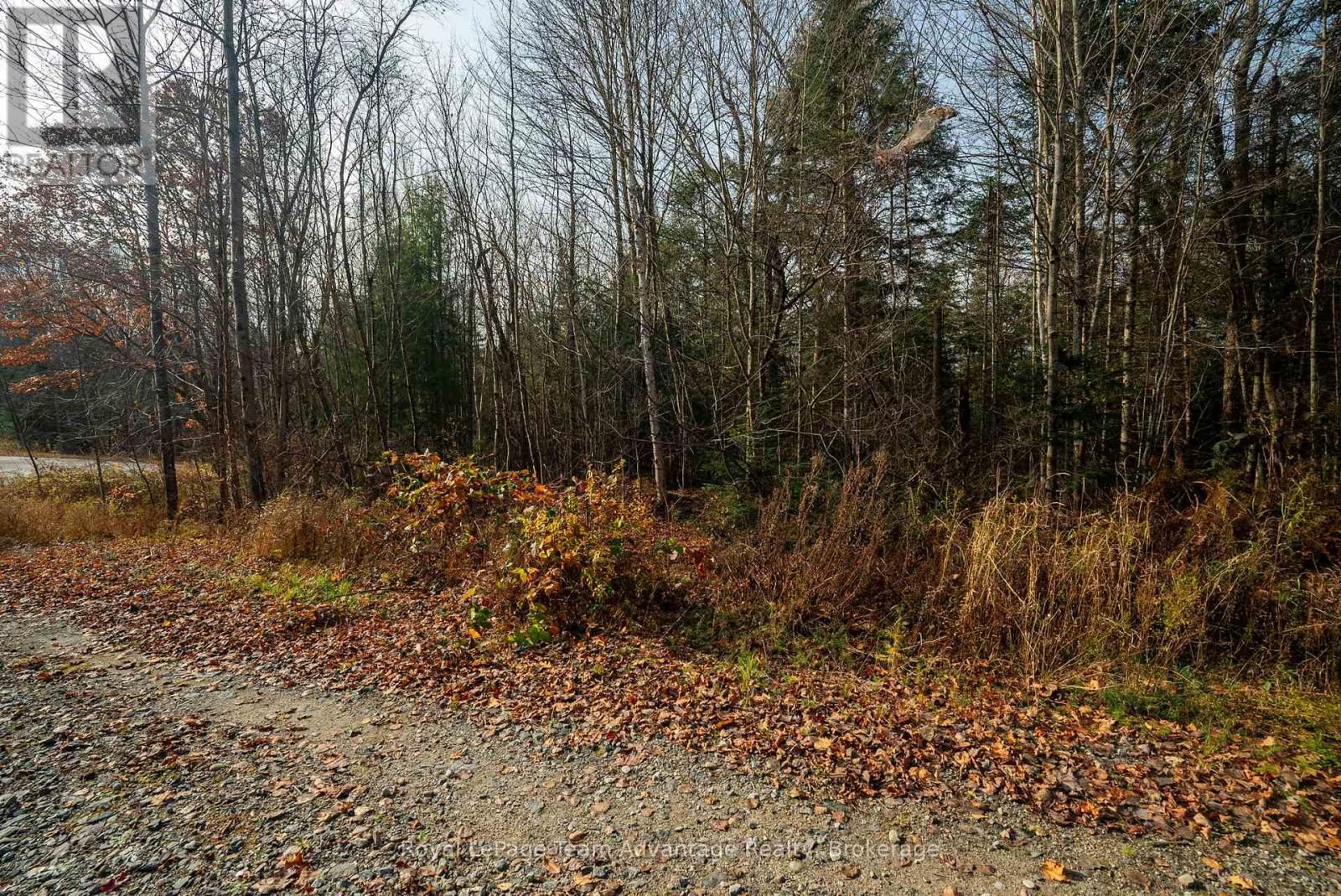 181 CLARKES LANE Image 24