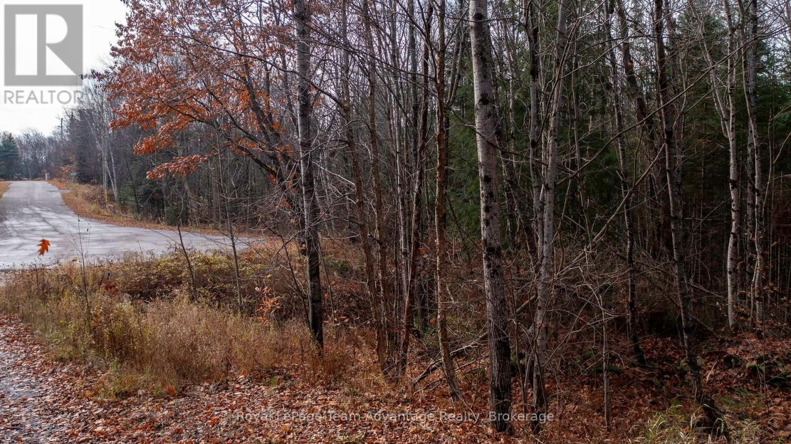 181 CLARKES LANE Image 4