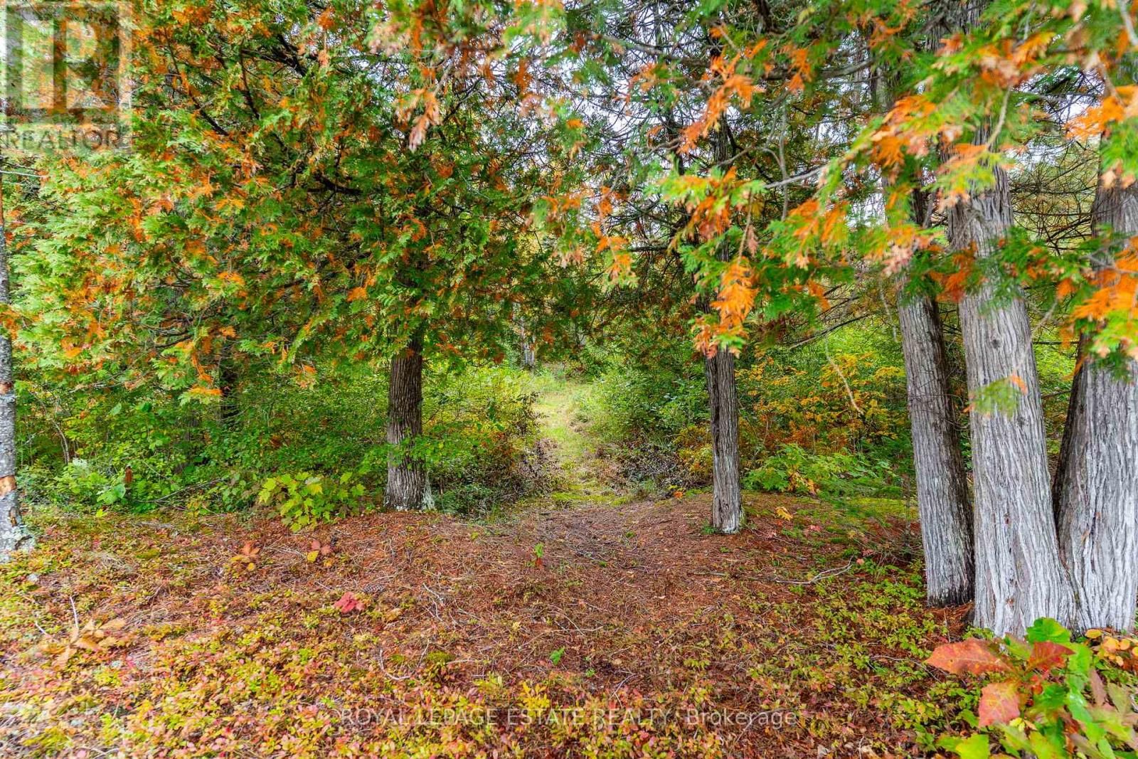 Block B CREGO LAKE ROAD Image 9