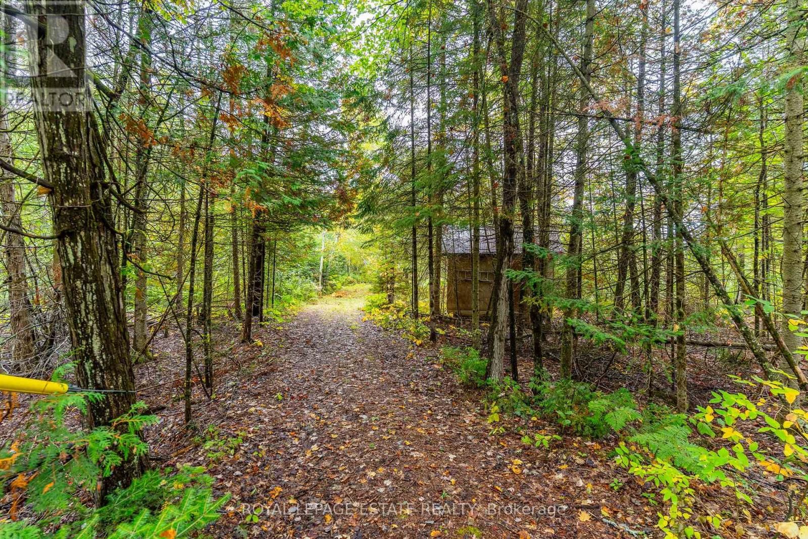 LOT 18 CREGO LAKE ROAD Image 20