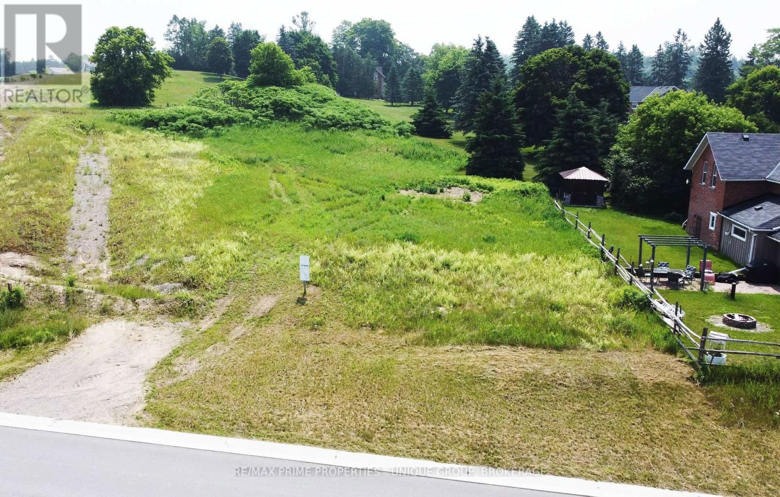 Primary Property View