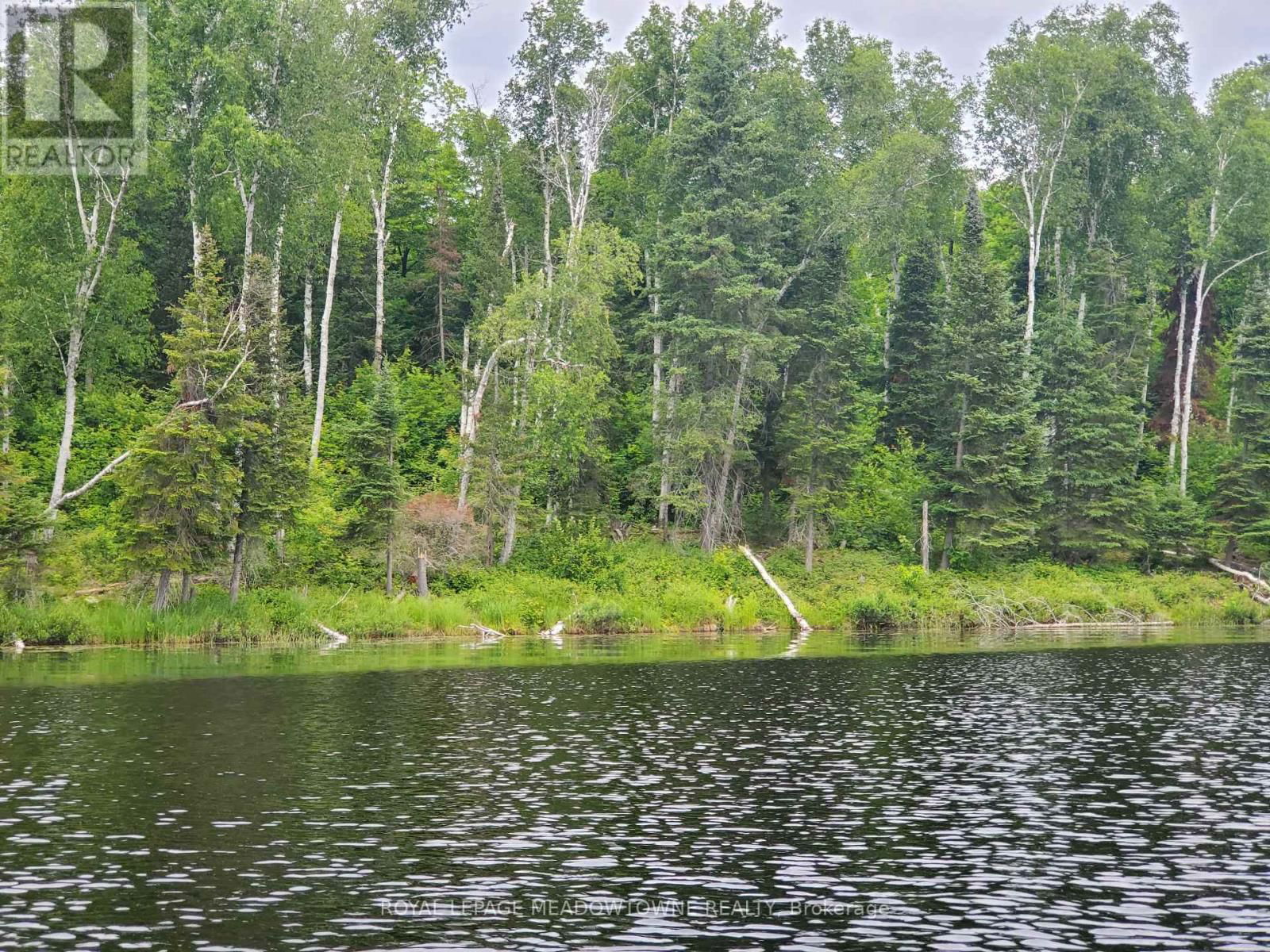 PT123 CADDEN LAKE Image 4