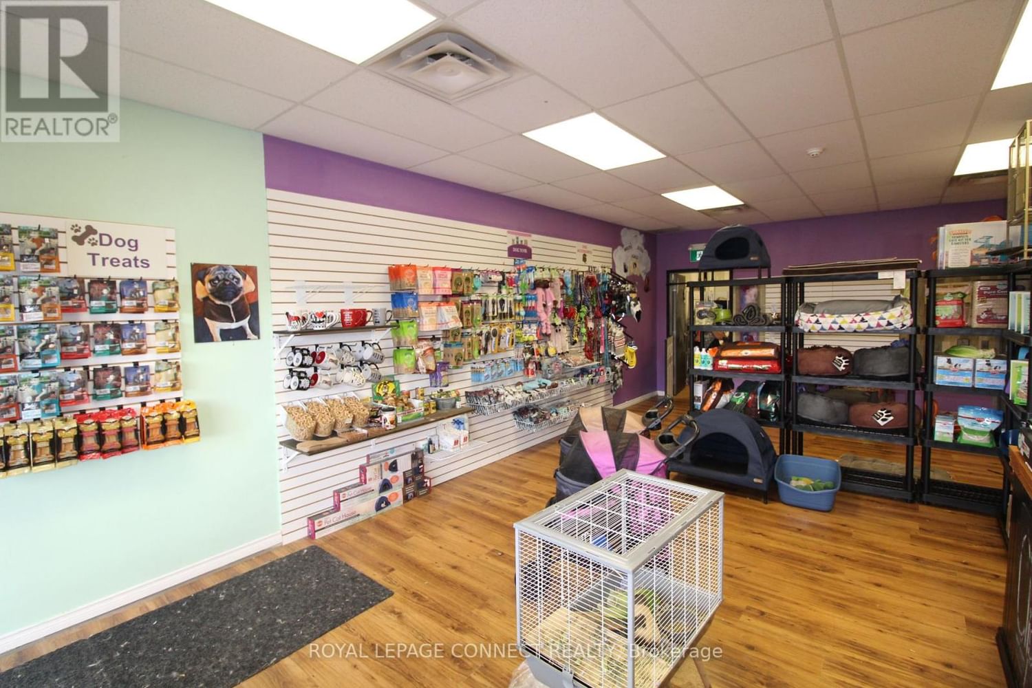 Businesses for Sale in Ontario