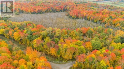 Commercial for Sale in Ontario