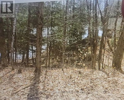 Commercial for Sale in Ontario