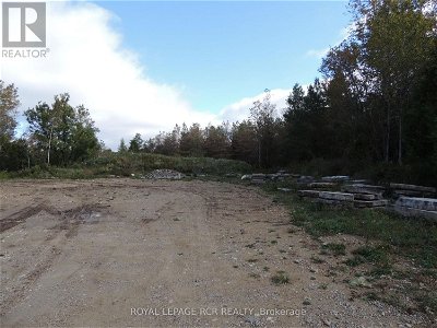Image #1 of Commercial for Sale at Lot 90 Highway 10 Rd, Chatsworth, Ontario