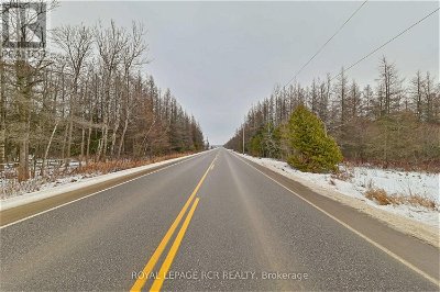 Image #1 of Commercial for Sale at Lot 31 9 County Rd, Melancthon, Ontario