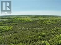 Image #1 of Commercial for Sale at 502 Centerville Parcel B Rd, Stone Mills, Ontario