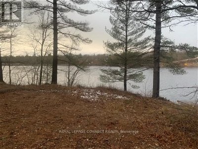 Image #1 of Commercial for Sale at #lot 9 -2458 Gull Creek, Stone Mills, Ontario