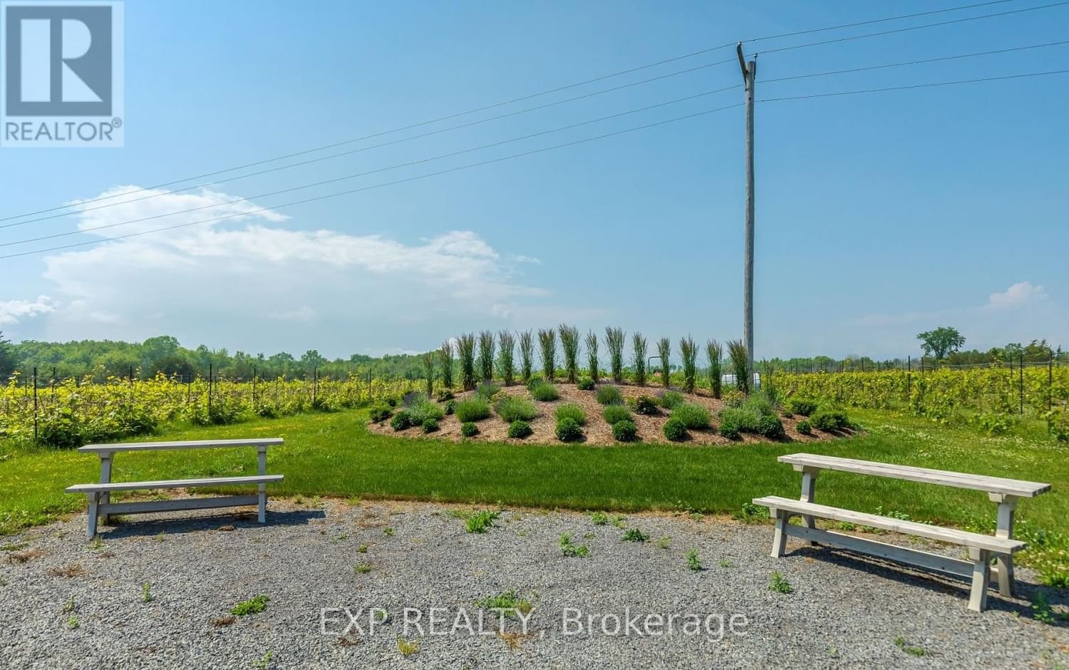 3609 COUNTY RD 8 Image 13
