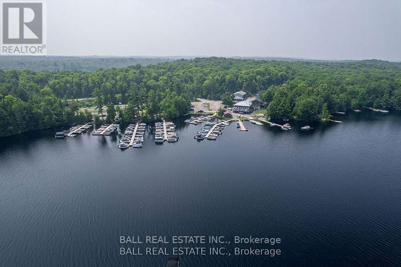 1207 Anst Lake Wao null  North Kawartha, K0L1A0 | Image 15