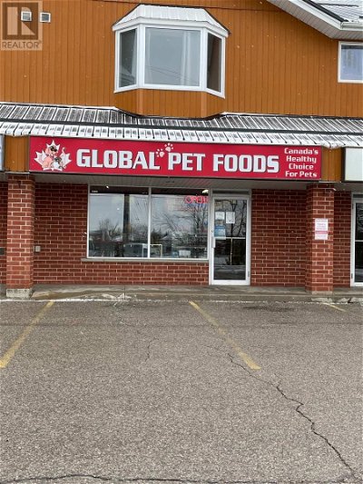 Pet Stores for Sale
