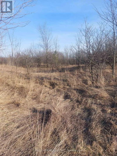 Commercial for Sale in Ontario