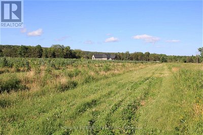 Image #1 of Commercial for Sale at 628326 15th Sdrd, Mulmur, Ontario