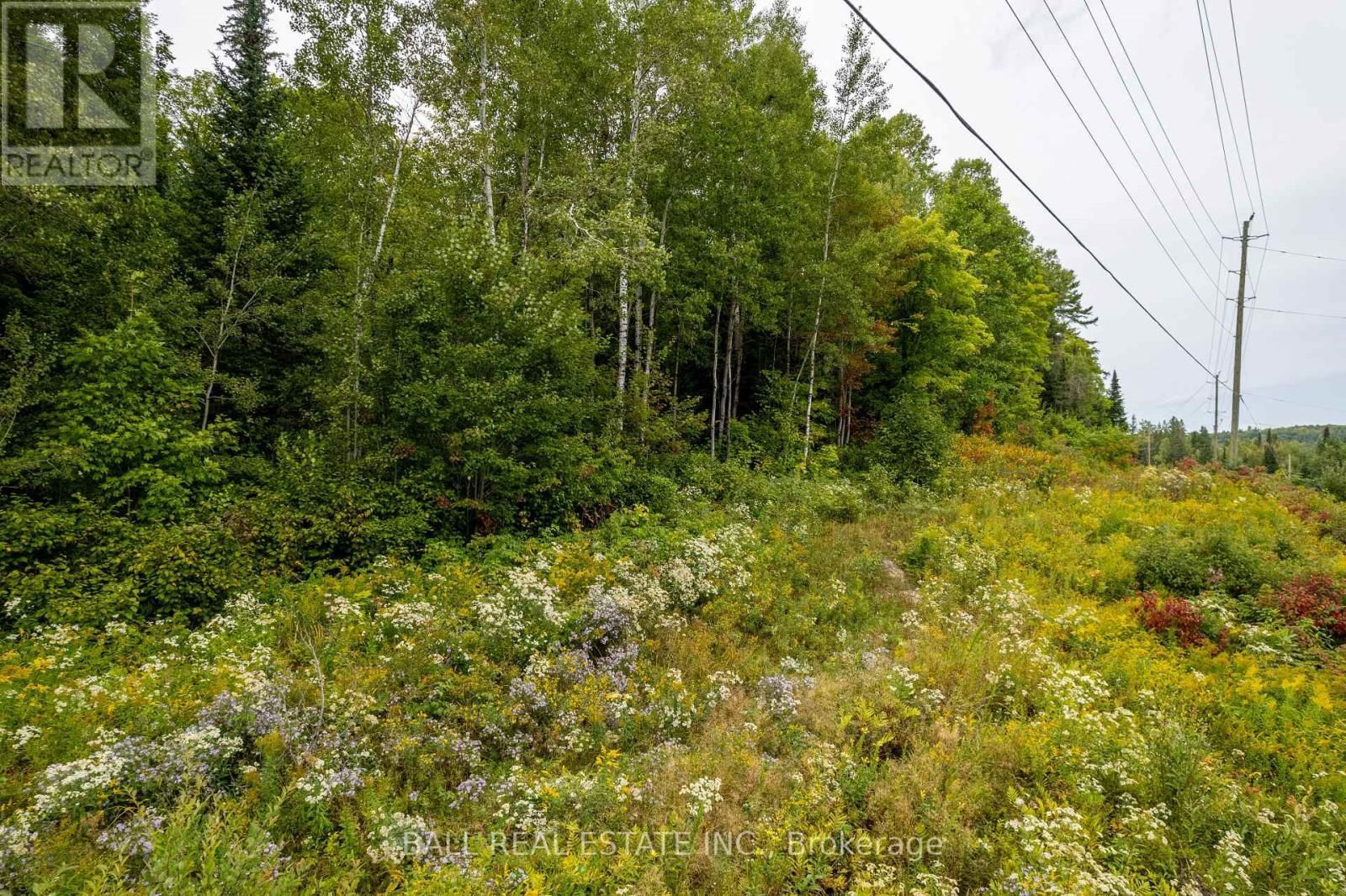 Lot 29 HIGHWAY 62 WEST Image 15