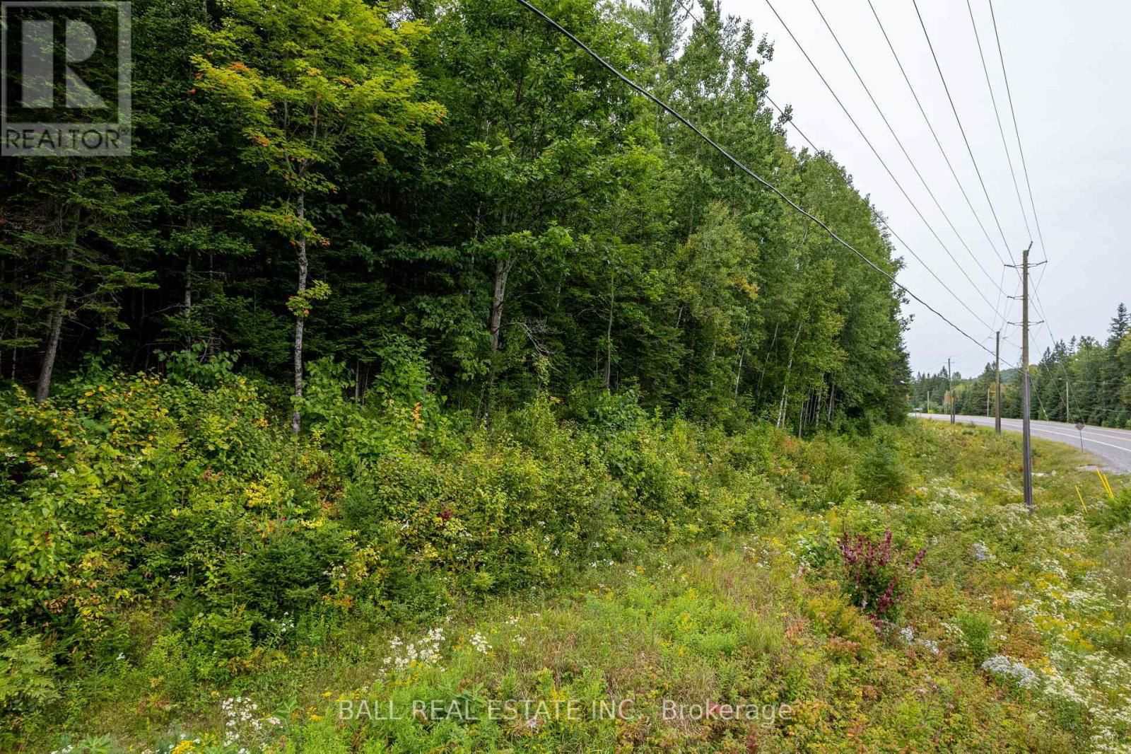 Lot 29 HIGHWAY 62 WEST Image 16