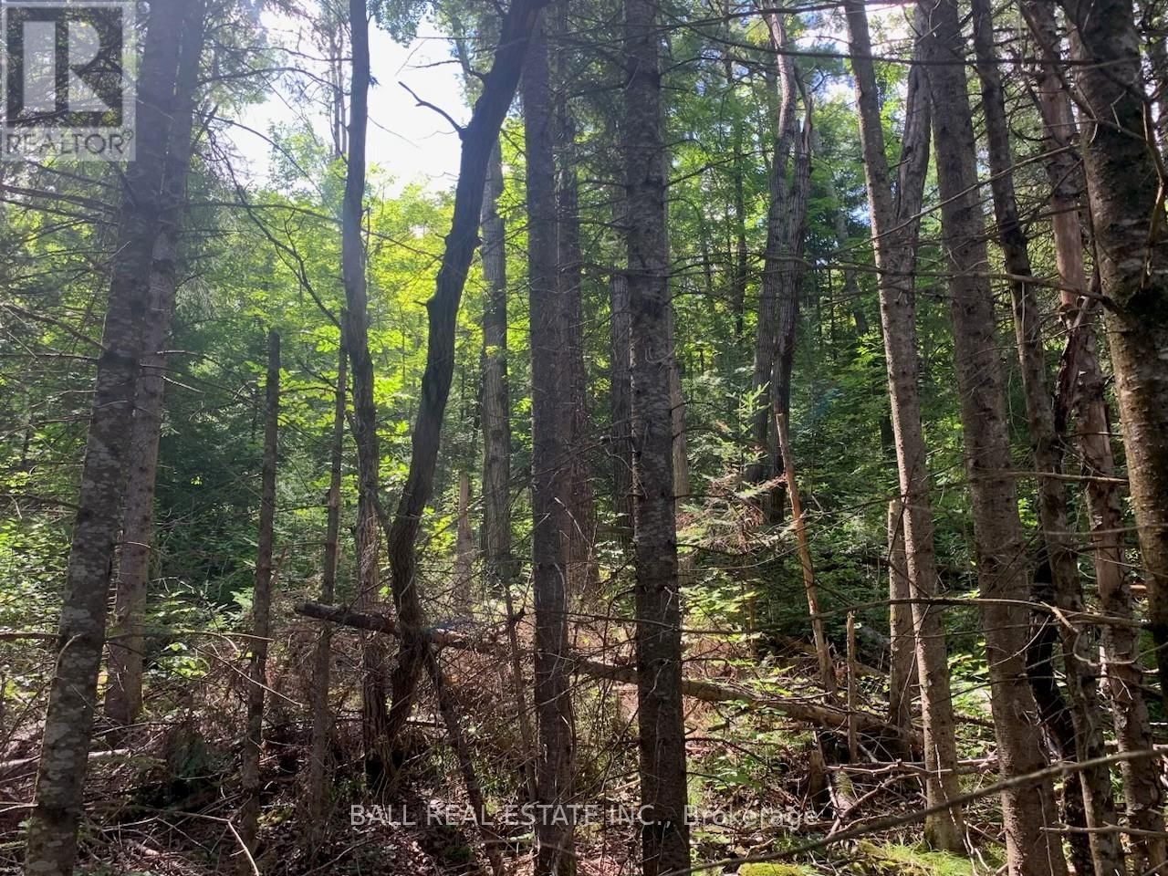 Lot 29 HIGHWAY 62 WEST Image 2