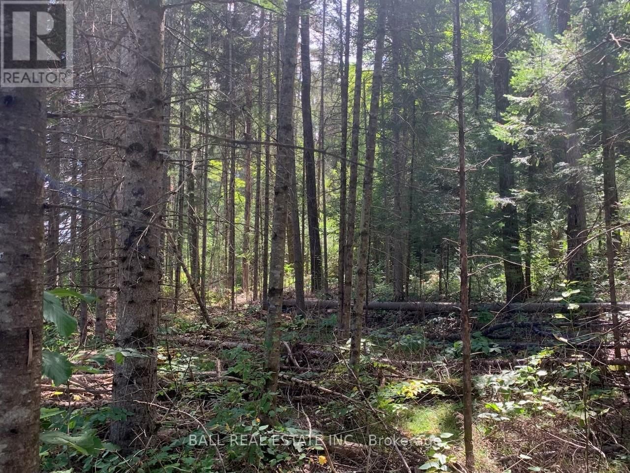 Lot 29 HIGHWAY 62 WEST Image 3