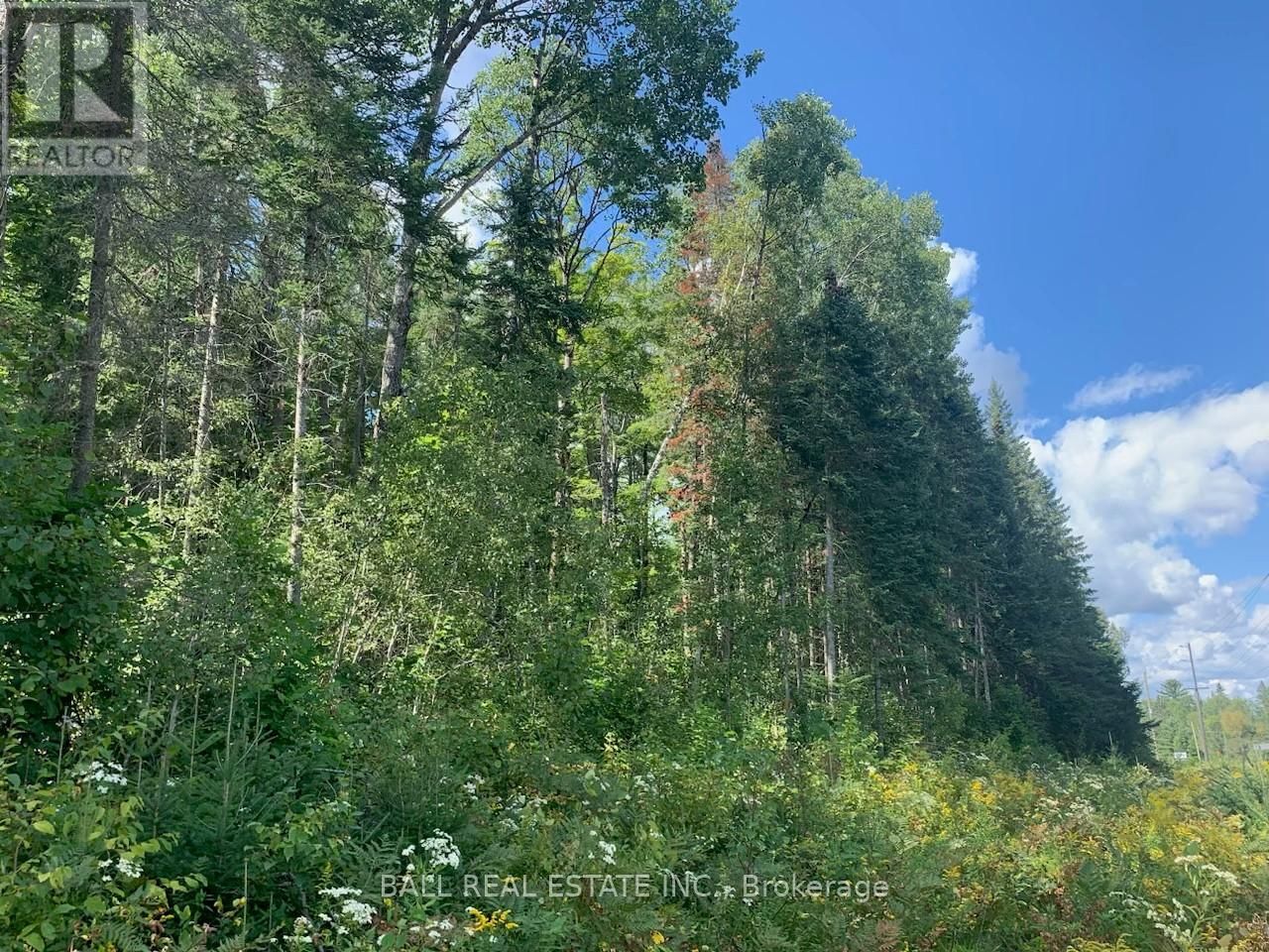 Lot 29 HIGHWAY 62 WEST Image 4