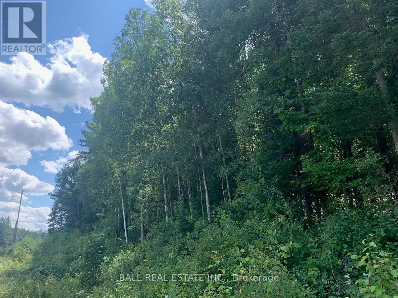 Lot 29 HIGHWAY 62 WEST Image 5