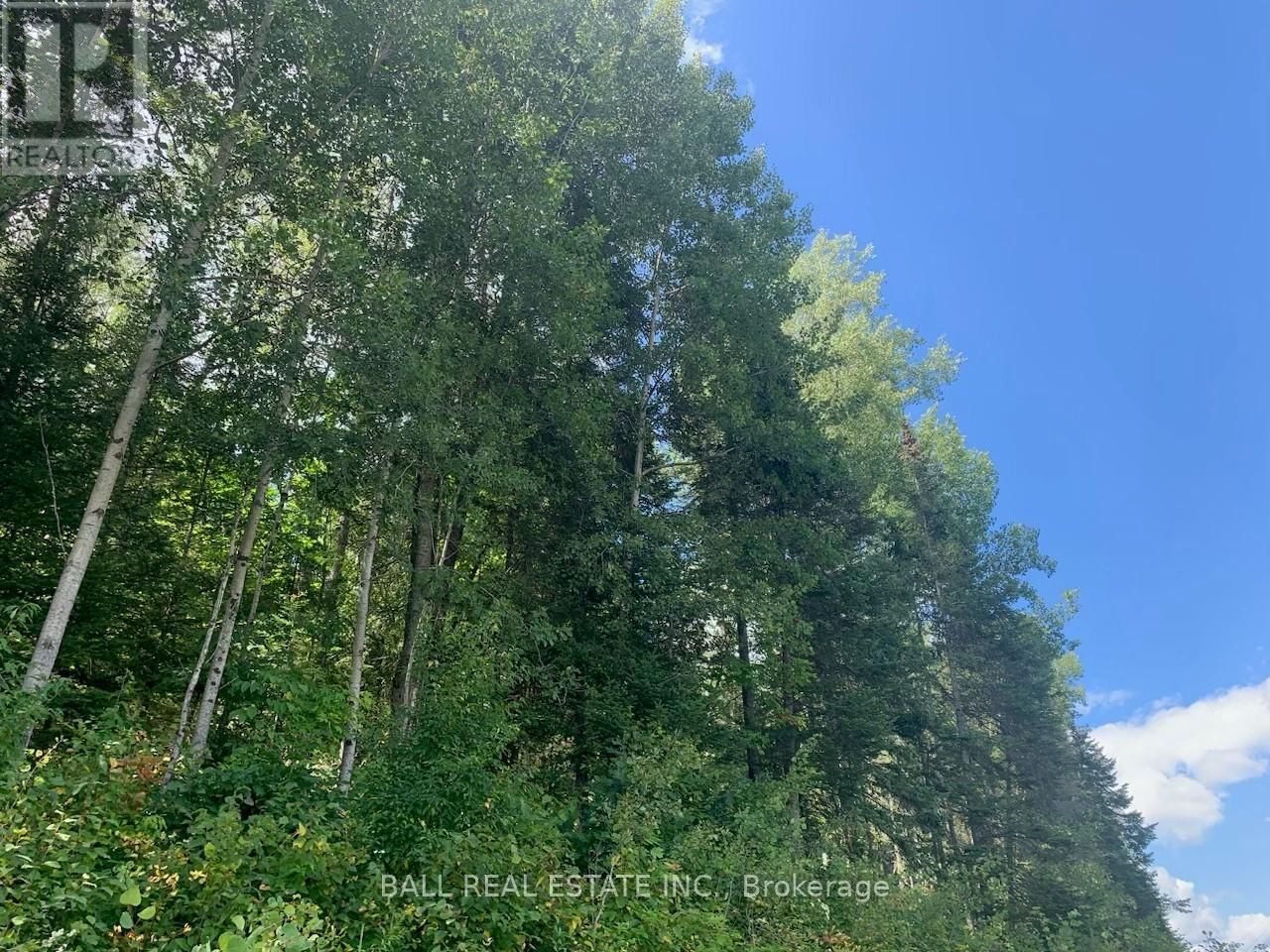 Lot 29 HIGHWAY 62 WEST Image 6