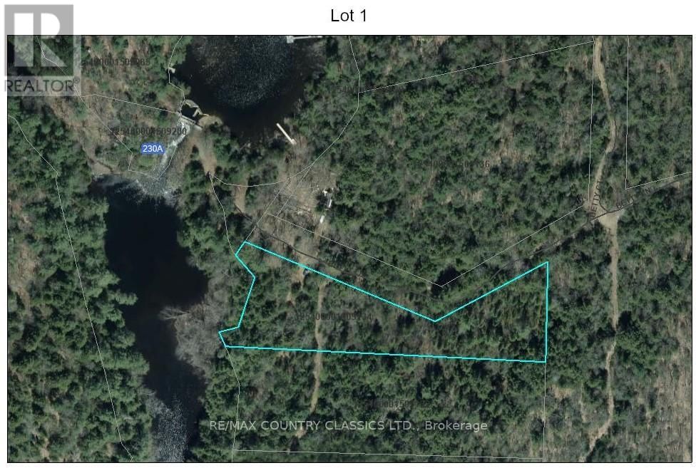Primary Property View