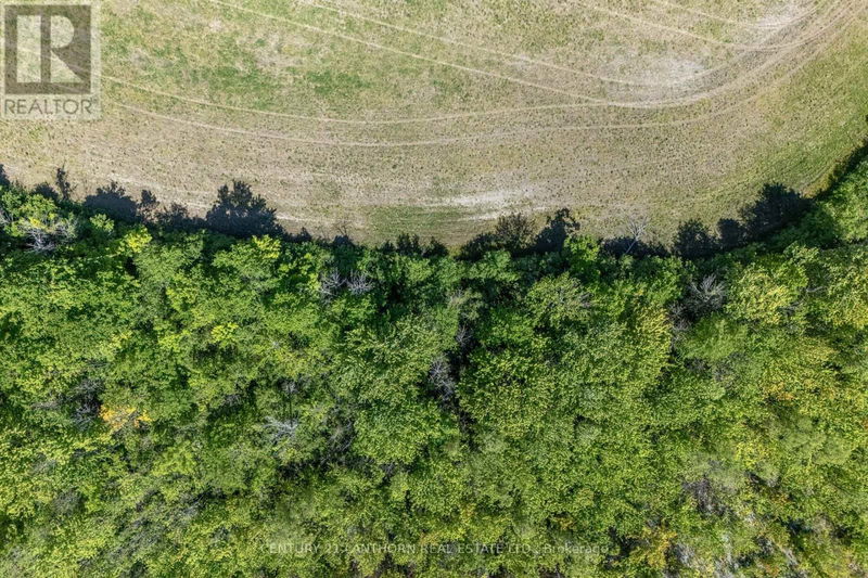 383 Chase Road  Prince Edward County (Hillier), K0K2J0 | Image 13