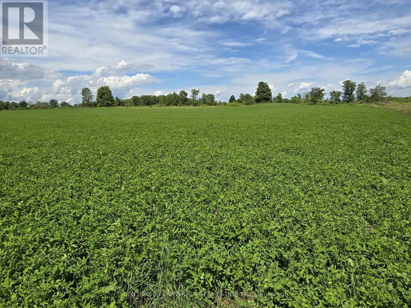 Image #1 of Business for Sale at 969 Cooke Road, Stirling-rawdon, Ontario