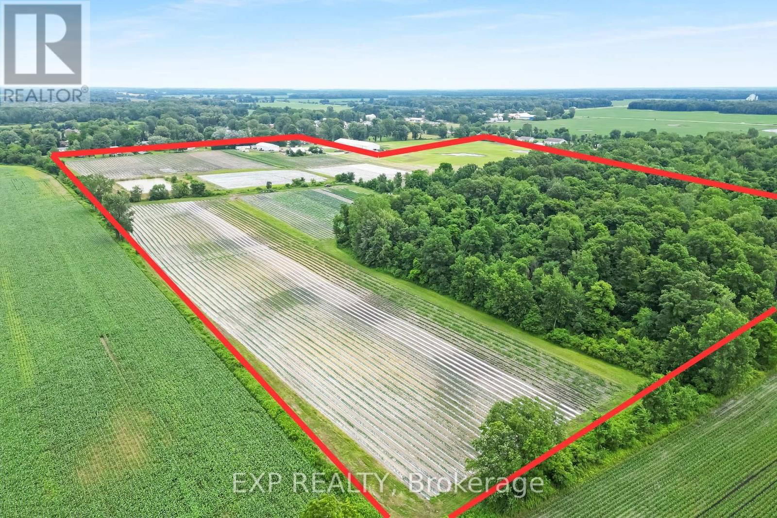 Primary Property View